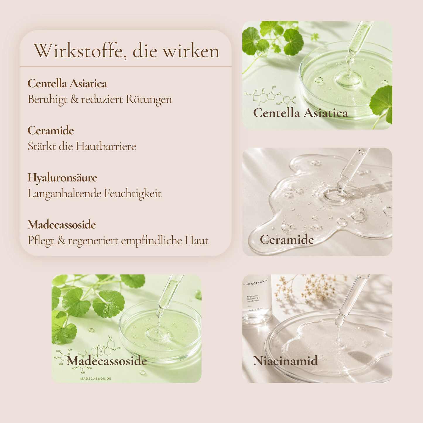 Wirkstoffe im Calm Barrier Ritual – Centella Asiatica, Ceramide, Hyaluronsäure und Madecassoside