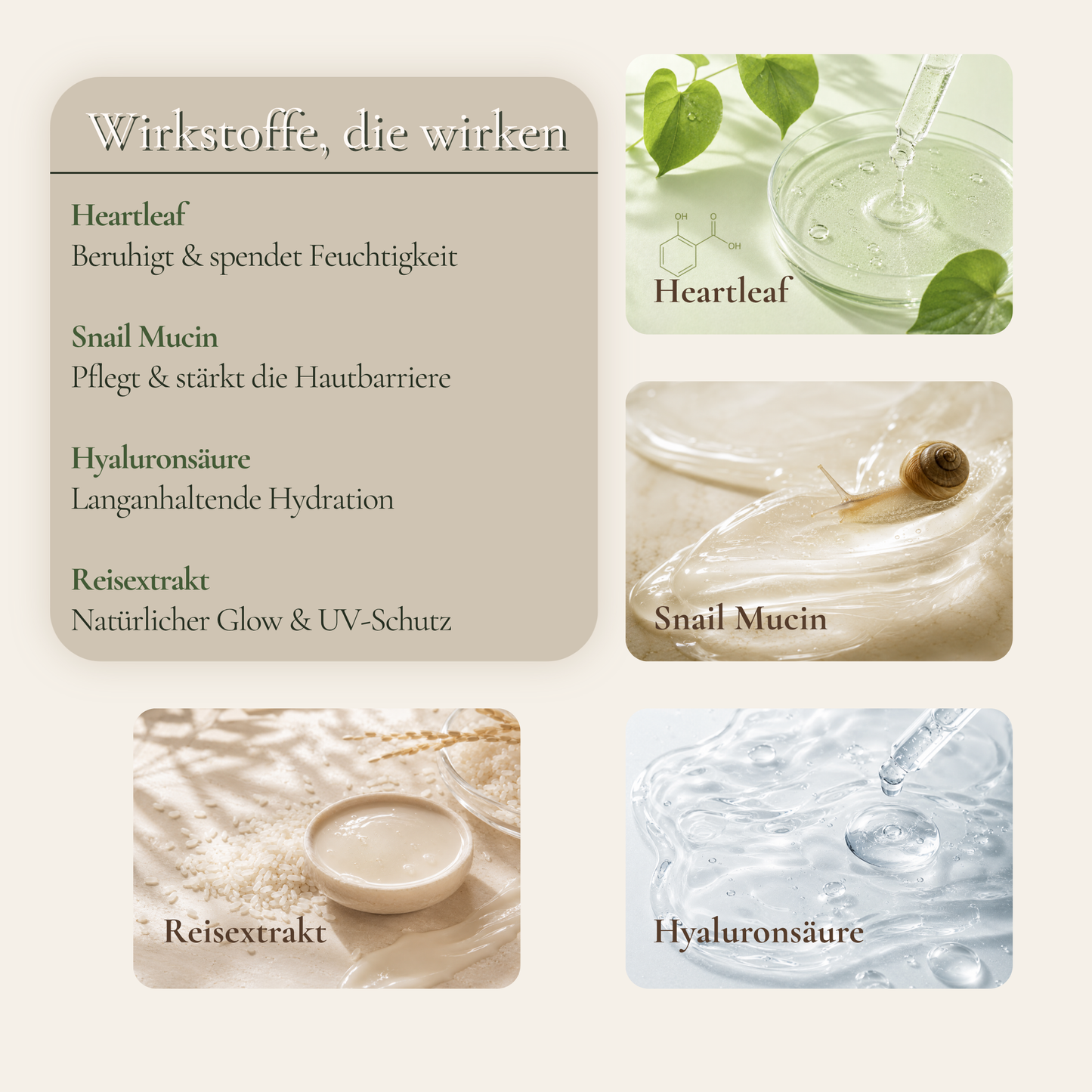 Wirkstoffe im Daily Glow Ritual – Heartleaf, Snail Mucin, Hyaluronsäure und Reisextrakt