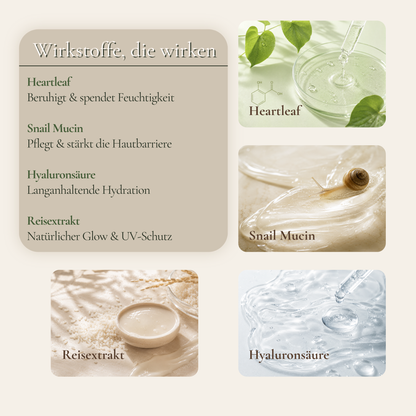 Wirkstoffe im Daily Glow Ritual – Heartleaf, Snail Mucin, Hyaluronsäure und Reisextrakt