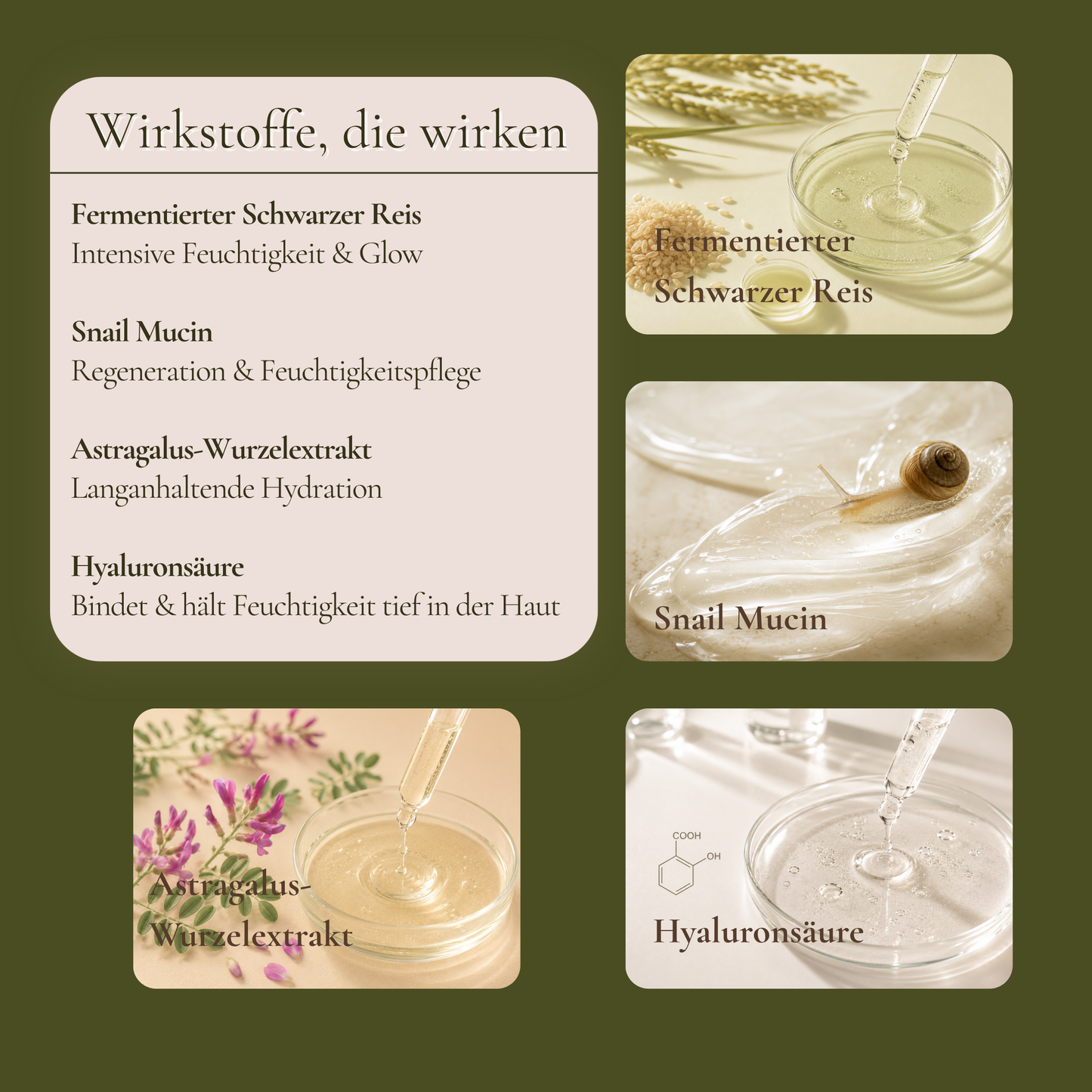 Wirkstoffe im Deep Moisture Ritual – Fermentierter Schwarzer Reis, Snail Mucin 96%, Astragalus-Wurzelextrakt und Hyaluronsäure
