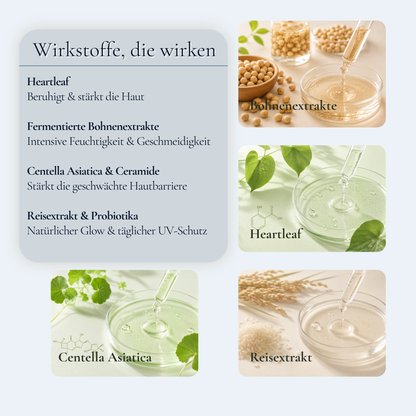 Wirkstoffe im Hydra Comfort Ritual – Heartleaf 77%, Fermentierte Bohnenextrakte, Centella Ceramide und Reisextrakt
